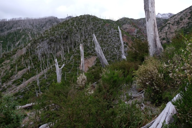 DSCF0855 (Medium).JPG