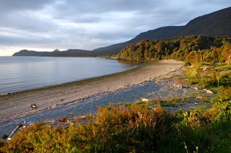 DSCF0889 (Medium).JPG