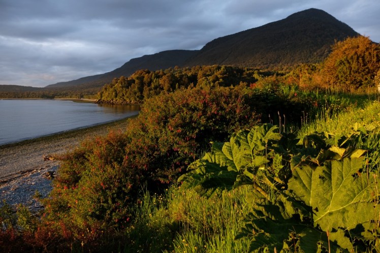 DSCF0897 (Medium).JPG