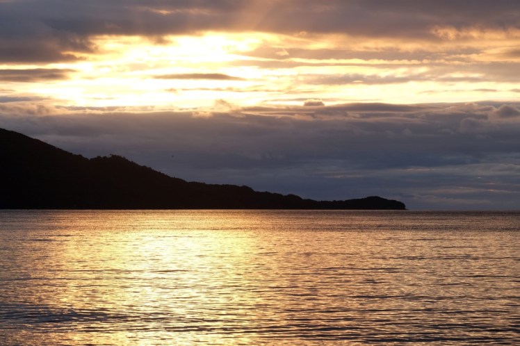 DSCF0908 (Medium).JPG