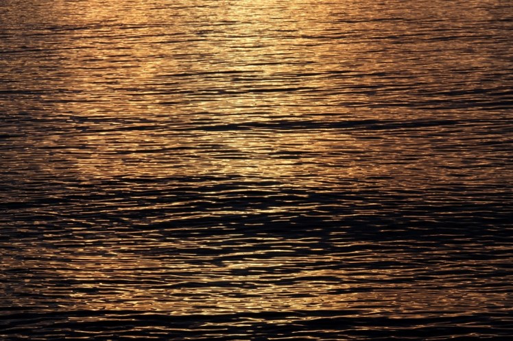 DSCF0910 (Medium).JPG