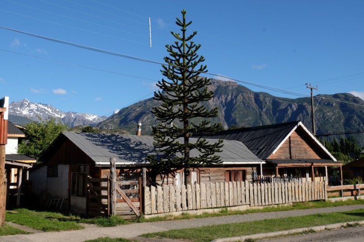 DSCF1058 (Medium).JPG