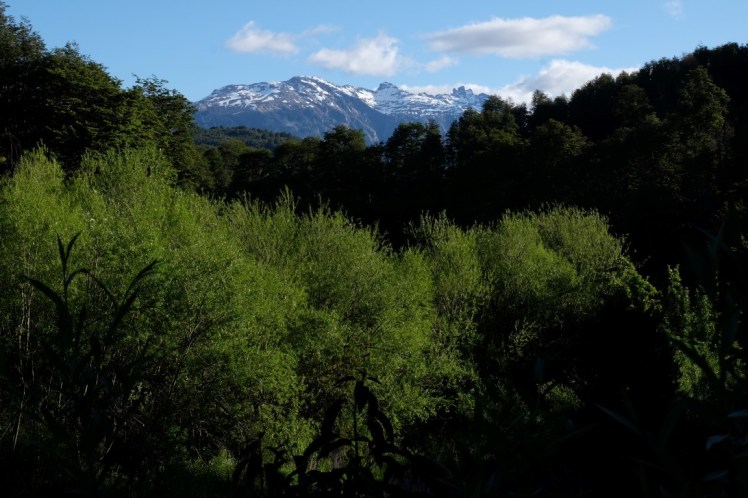 DSCF1059 (Medium).JPG