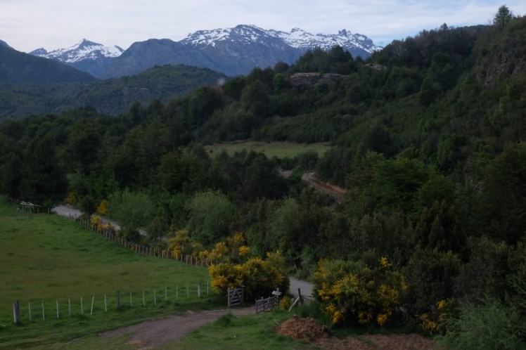 DSCF1079 (Medium).JPG