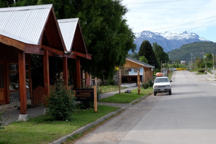 DSCF1082 (Medium).JPG