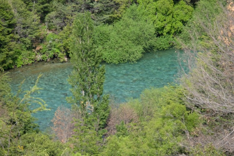 DSCF1106 (Medium).JPG