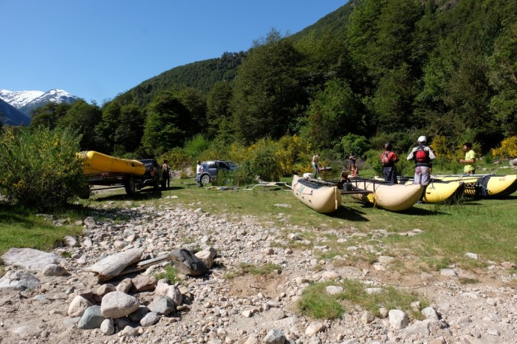 DSCF1132 (Medium).JPG