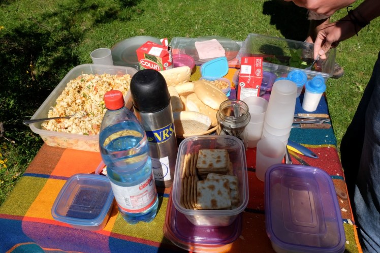 DSCF1133 (Medium).JPG