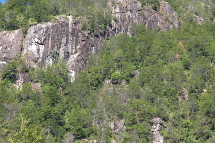 DSCF1143 (Medium).JPG