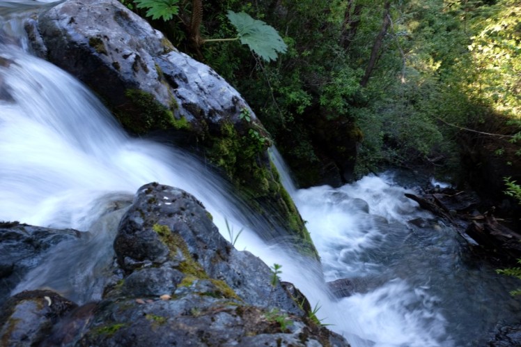 DSCF1184 (Medium).JPG