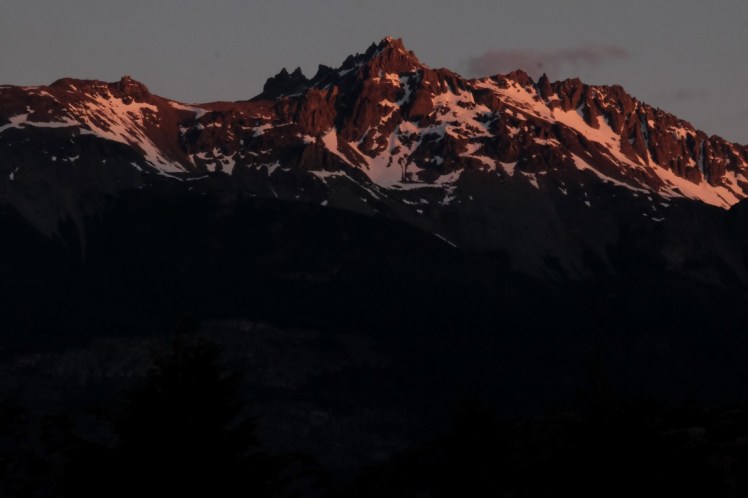 DSCF1265 (Medium).JPG