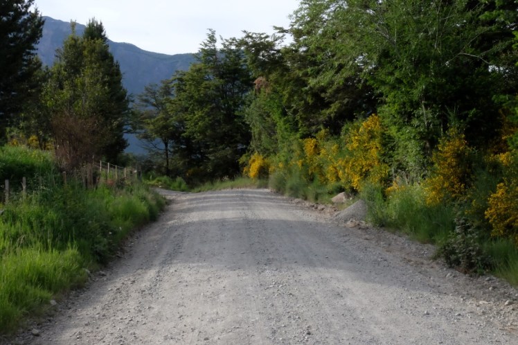 DSCF1268 (Medium).JPG