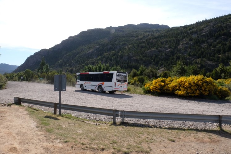 DSCF1280 (Medium).JPG