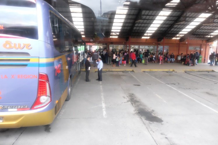 DSCF9467 (Medium).JPG