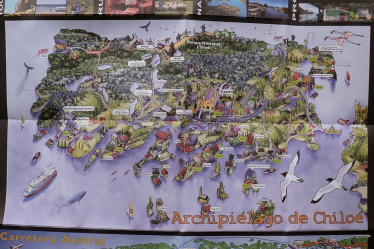 DSCF9511 (Medium).JPG