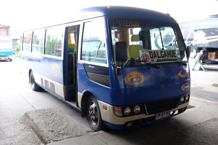 DSCF9515 (Medium).JPG