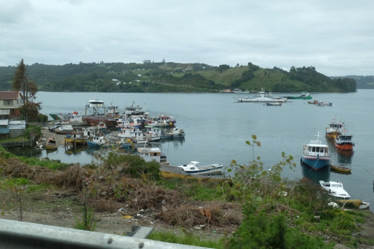 DSCF9530 (Medium).JPG