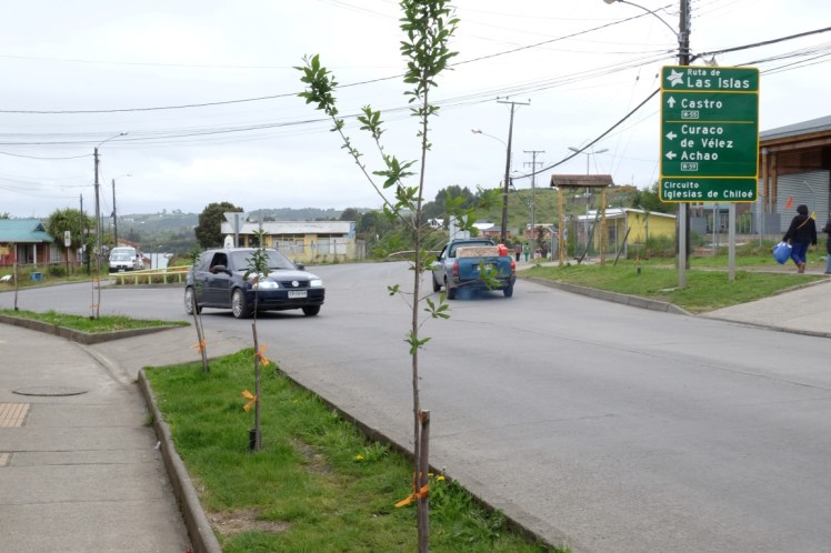 DSCF9633 (Medium).JPG