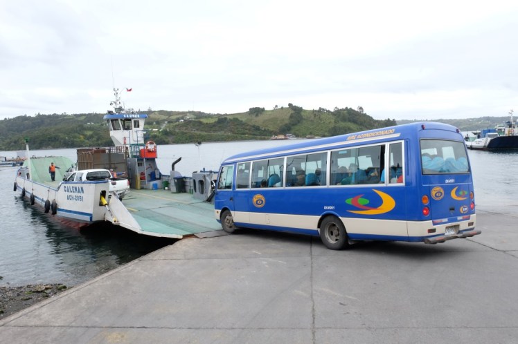 DSCF9635 (Medium).JPG