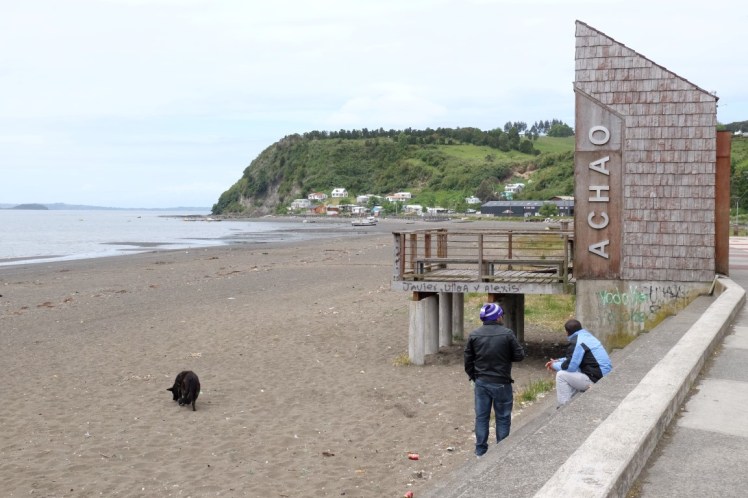 DSCF9680 (Medium).JPG