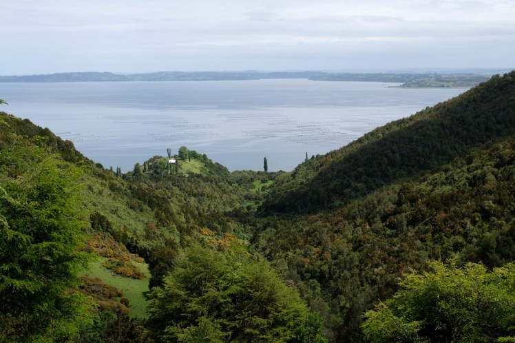 DSCF9725 (Medium).JPG