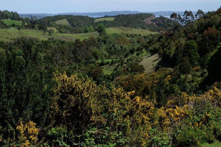 DSCF9750 (Medium).JPG