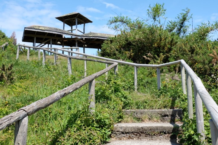 DSCF9755 (Medium).JPG