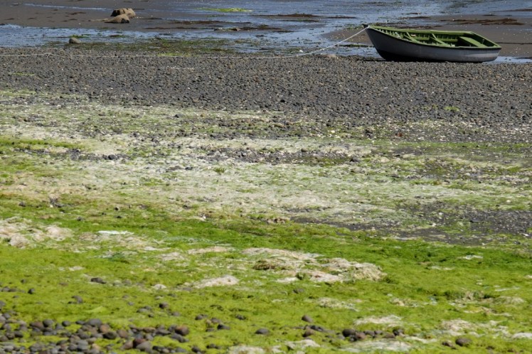 DSCF9812 (Medium).JPG