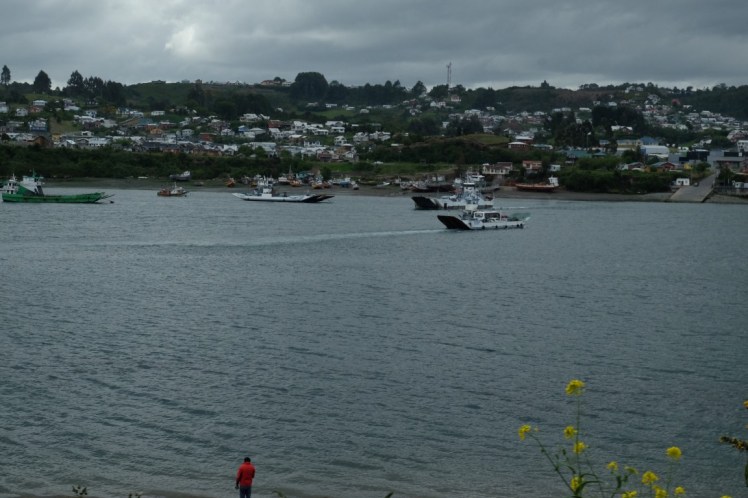 DSCF9842 (Medium).JPG