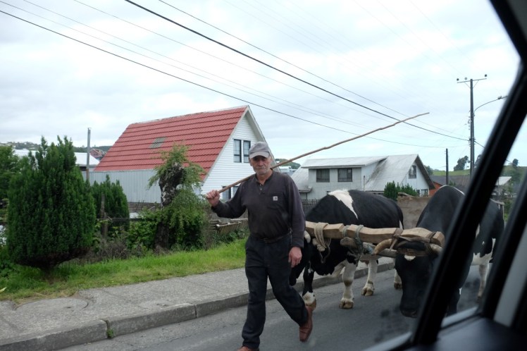 DSCF9847 (Medium).JPG