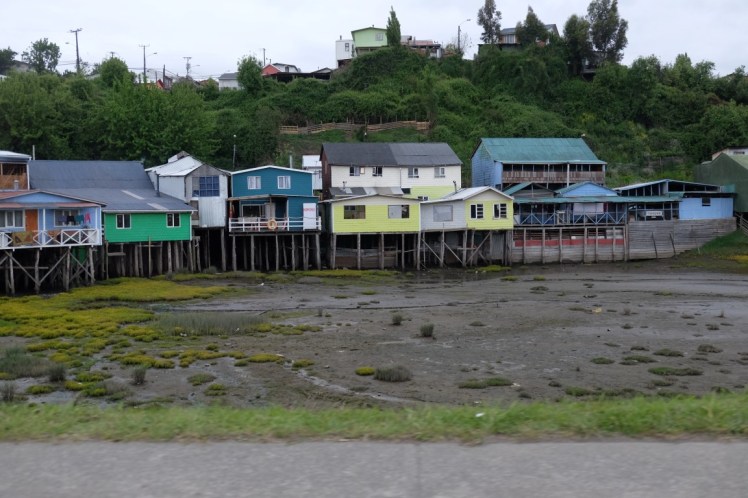 DSCF9863 (Medium).JPG