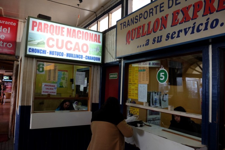 DSCF9889 (Medium).JPG