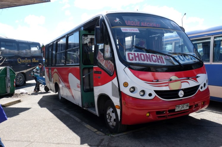 DSCF9891 (Medium).JPG