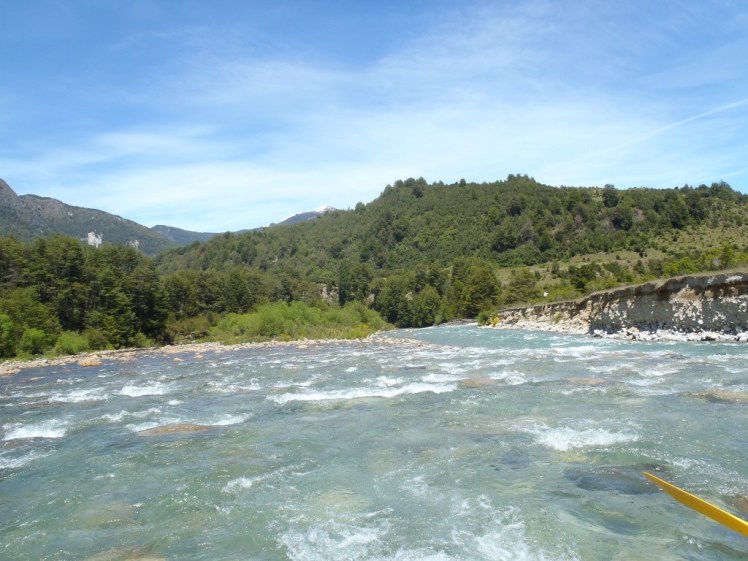 PB290450 (Medium).JPG