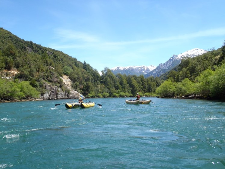 PB290472 (Medium).JPG