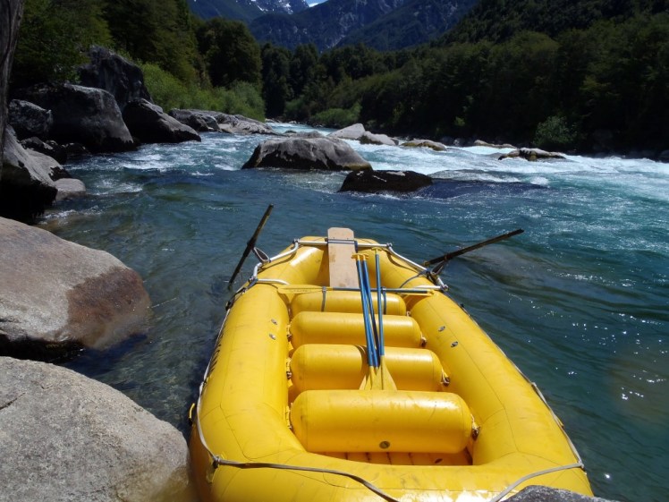 PB290481 (Medium).JPG