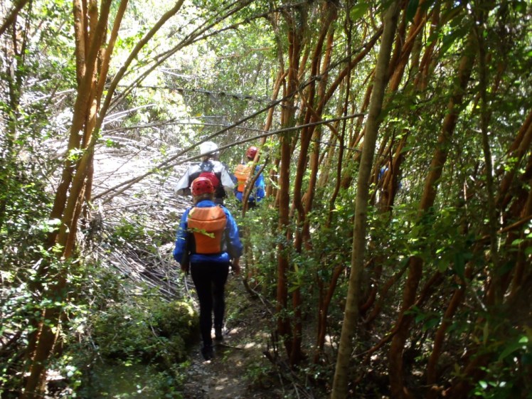 PB290482 (Medium).JPG