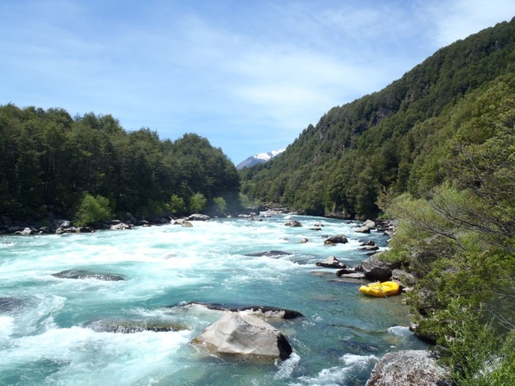 PB290483 (Medium).JPG