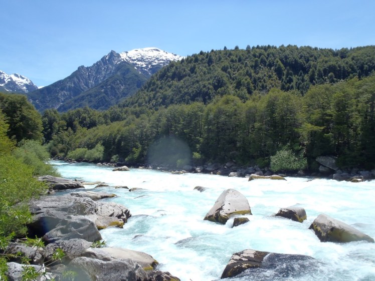 PB290484 (Medium).JPG