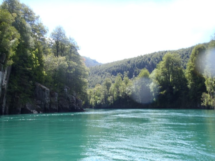 PB290488 (Medium).JPG