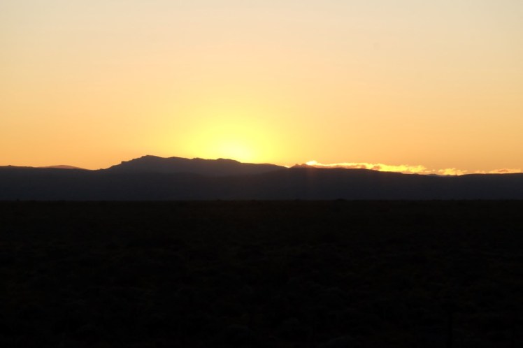 DSCF1573 (Medium).JPG