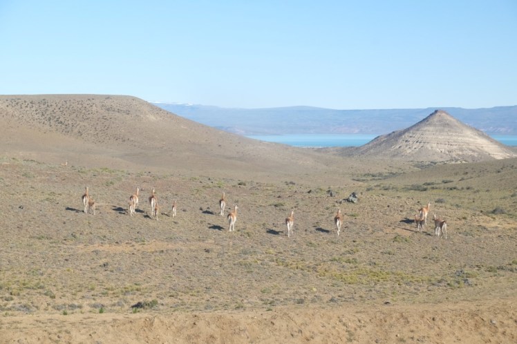 DSCF1677 (Medium).JPG