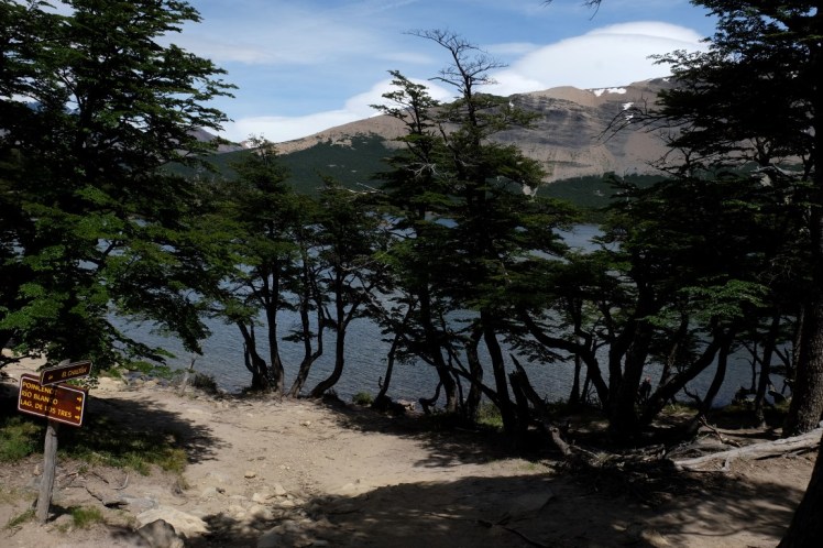 DSCF1893 (Medium).JPG