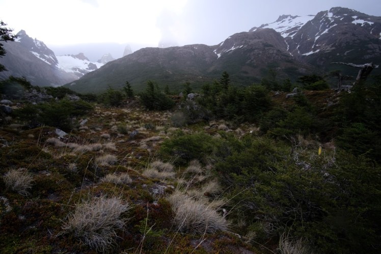 DSCF2008 (Medium).JPG