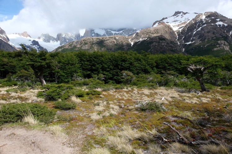 DSCF2020 (Medium).JPG