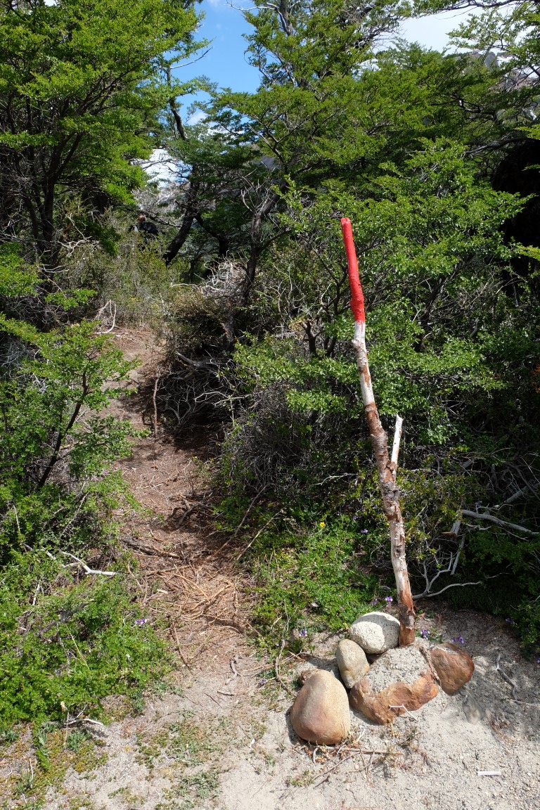 DSCF2087 (Medium).JPG