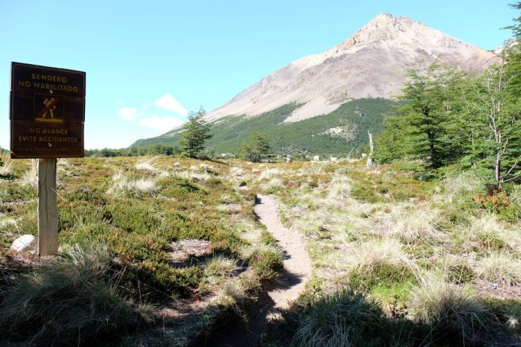 DSCF2277 (Medium).JPG