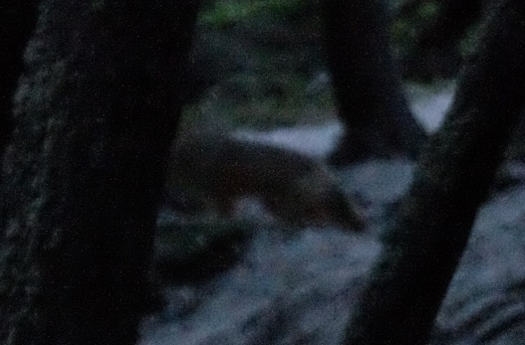 DSCF2449 - copia.JPG