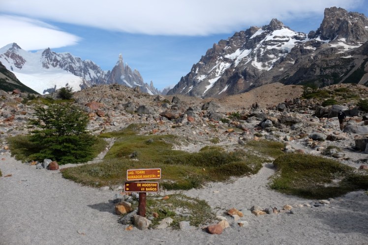 DSCF2486 (Medium).JPG