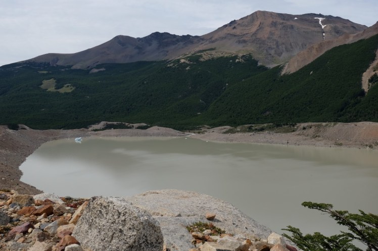 DSCF2530 (Medium).JPG